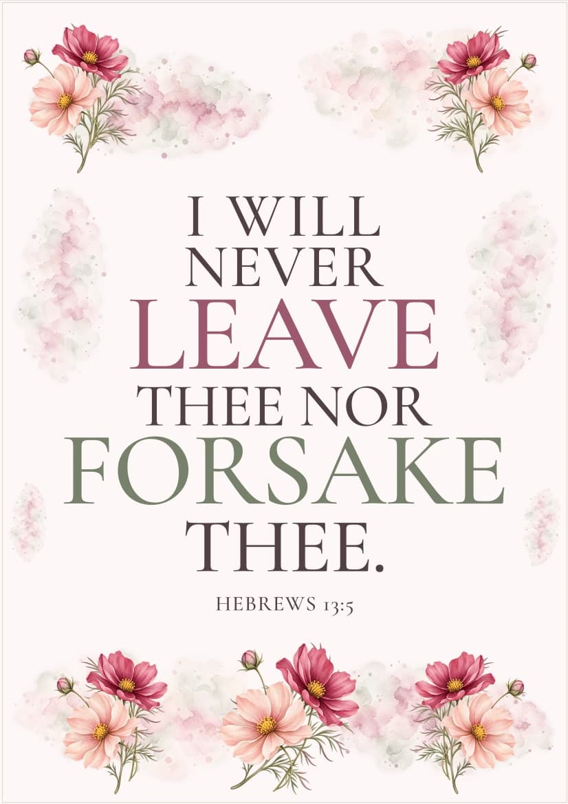 Cosmos Blush Meadow template preview